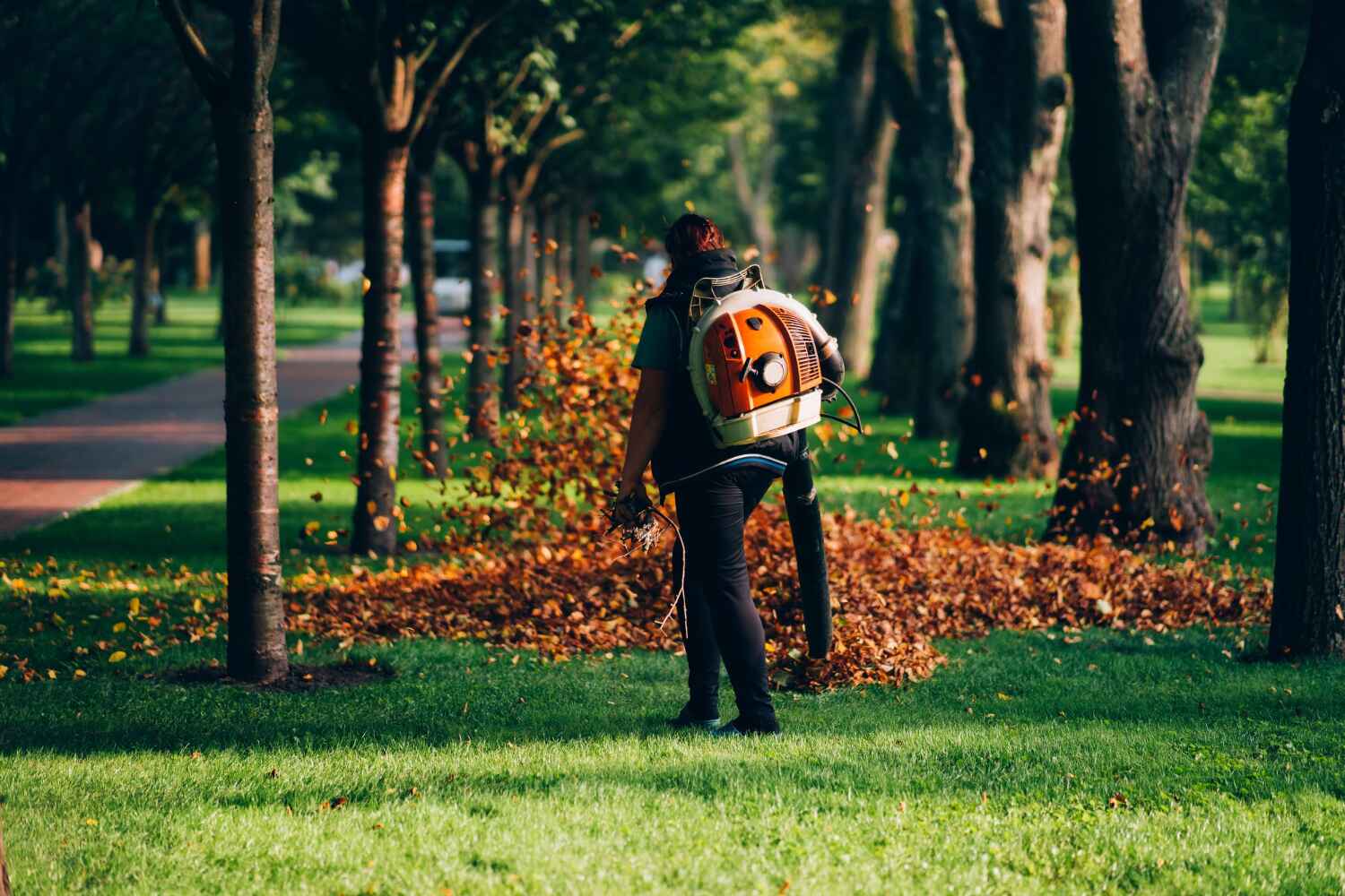 Best Emergency Tree Service  in Long Creek, IL